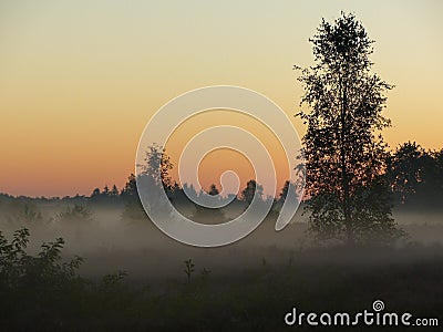 Misty sunrise on the heath Stock Photo