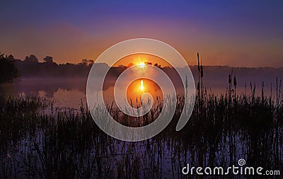 Misty Sunrise reflected in a lake, silhouetting Bulrushes Stock Photo