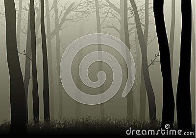 Misty Woods Vector Illustration