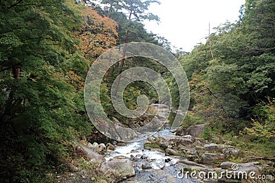 Mitake Shosenkyo gorges and moutain stream with red autumn leaves Stock Photo