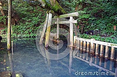 Mitarashi Pond in Kashima Shrine Stock Photo