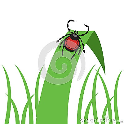 Mite dangerous parasite vector illustration Vector Illustration