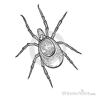 Mite insect sketch engraving vector illustration Vector Illustration