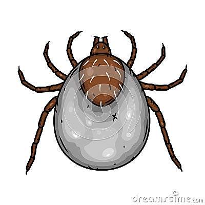 Mite parasites. Tick parasite. Acarus. Acarid vector illustration isolated on white background. Vector Illustration