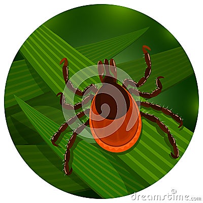 Mite in the tall green grass Vector Illustration