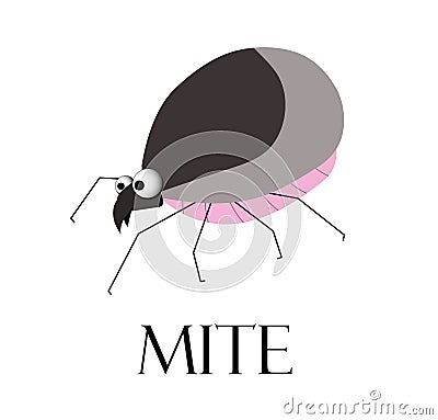 Mite. Teak is a blood-sucking insect. The parasite is a tick. Summer epidemic. Lyme Disease Vector Illustration