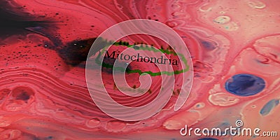 mitochondria biological text written on water colour abstract background Stock Photo