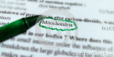 mitochondria biological text written on white paper with green colour covering text form Stock Photo