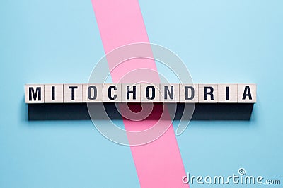 Mitochondria word concept on cubes Stock Photo