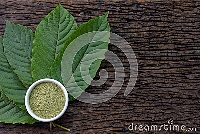 Mitragynina speciosa or Kratom leaves with powder product in white ceramic bowl and wooden table background Stock Photo