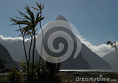 Mitre Peak and cabbage tree Stock Photo