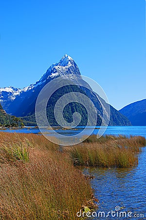 Mitre Peak Foreshore Stock Photo