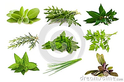 Mix aromatic herbs Stock Photo