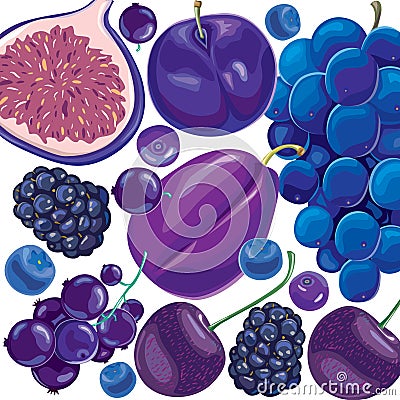 Mix blue and lilac fruits and berries Vector Illustration