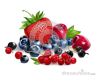 Mix of different berries, fresh assorted strawberries, currants, blueberries, bog whortleberry, sweet cherri Vector Illustration