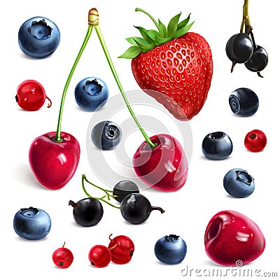 Mix of different berries, fresh assorted strawberries, currants, blueberries, bog whortleberry, sweet cherri Vector Illustration