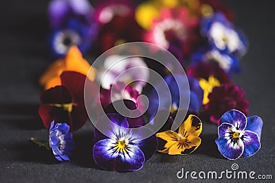 Mix of edible flowers Stock Photo