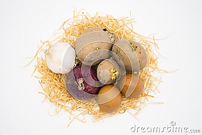 Mix of egg potato onion and garlic on the nest with white background Stock Photo