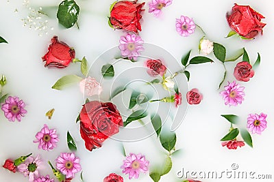 Mix flower petals and leaves in milk bath, background or texture for massage and spa, relax Stock Photo