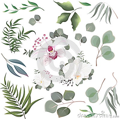 Mix of herbs and plants vector collection. Juicy eucalyptus, deadwood, green plants and leaves. All elements are Vector Illustration