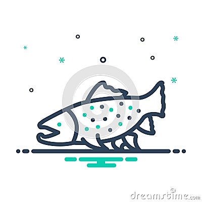 Mix icon for Char, fish and aquatic Vector Illustration