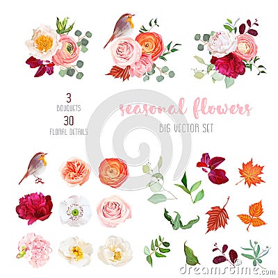 Mix of seasonal plants anf flowers big vector collection Vector Illustration