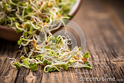 Mix of sprouted seeds Stock Photo