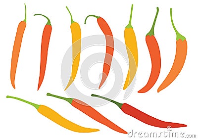 Colour Yellow Orange chilli pepper on white background illustration Cartoon Illustration