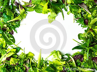 Mixed green Salad frame with copy space Stock Photo