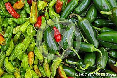 Mixed hot peppers Stock Photo