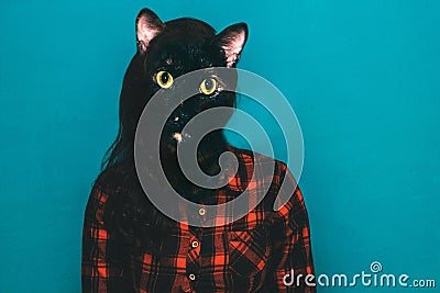 mixed media collage girl with cat head Stock Photo