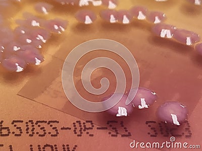 Mixed mucoid bacteria growing on blood and Macconkey agar Stock Photo