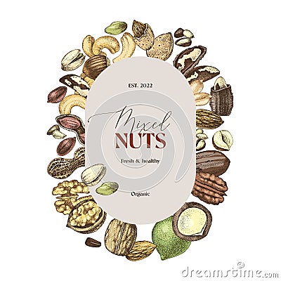 Mixed nuts vector label over hand drawn nuts sketches Vector Illustration