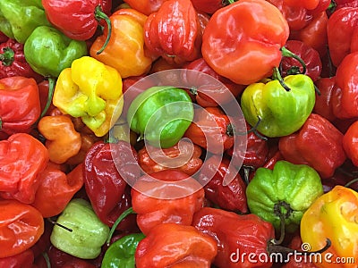 Mixed peppers Stock Photo