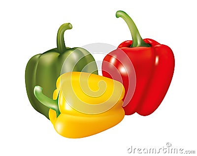 Mixed peppers Vector Illustration