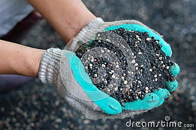 The mixed of plant chemical fertilizer and manure on farmer hand Stock Photo