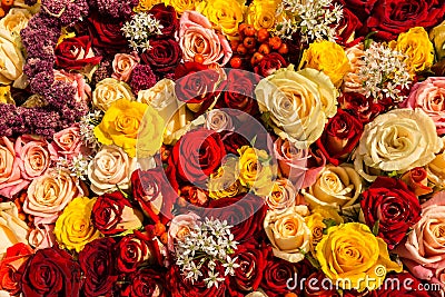 Mixed rose bouquet as background Stock Photo