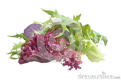 Mixed salad Stock Photo