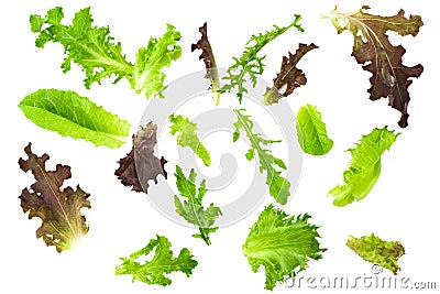 Mixed salad Stock Photo