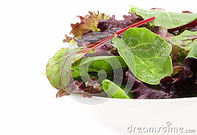 Mixed salad greens Stock Photo