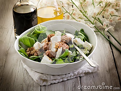 Mixed salad with spinach and tuna Stock Photo
