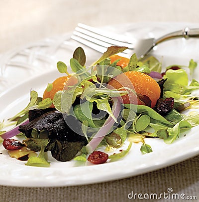 Mixed Salad Stock Photo