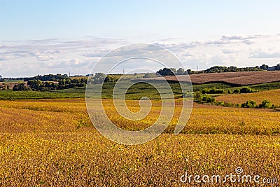 Mixed use farm with predominant Soya bean Stock Photo