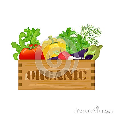 Mixed vegetables in a wooden vintage box. organic products Vector Illustration