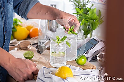 Mixologist making refreshing cocktail with hard seltzer at home Stock Photo