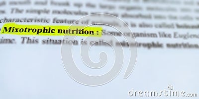 mixotrophic nutrition displayed on yellow highlighted pattern Stock Photo