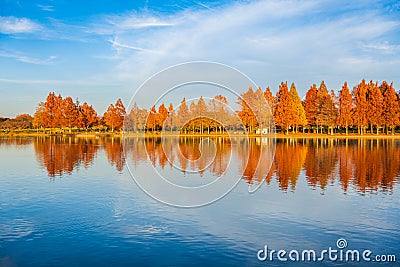 Mizumoto Park in Autumn Stock Photo