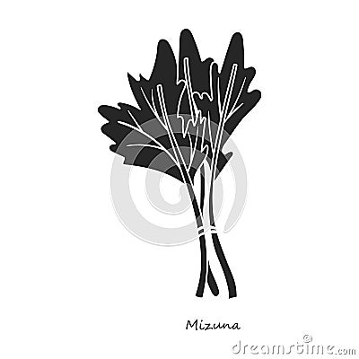 Mizuna vector icon.Black,simple vector icon isolated on white background mizuna . Vector Illustration