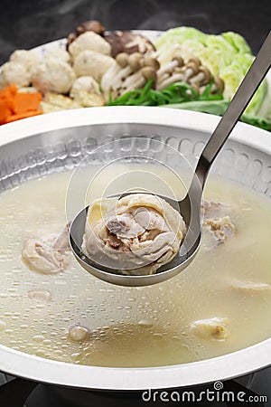 Mizutaki, Japanese chicken hot pot Stock Photo