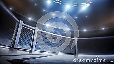 MMA cage. Side scene view under lights. Fighting Championship. Fight night. MMA octagon. 3D rendering Stock Photo